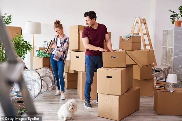 8 Reasons Why You Should Hire Professional Movers in UAE